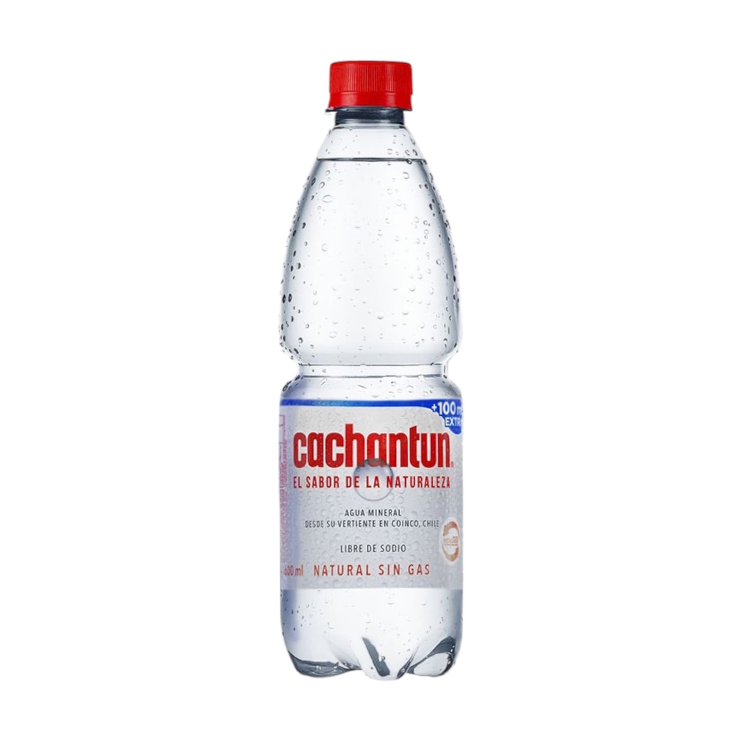 Agua Cachantún 600ML (Con y Sin Gas)