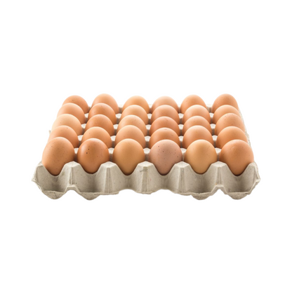 Huevos Extra (30 Unidades) - Blanco y Color