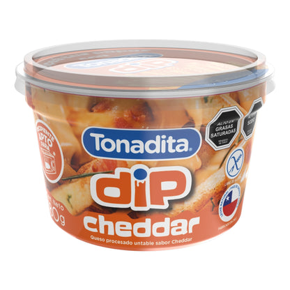 Queso Untable Tonadita 180g (Variedades)