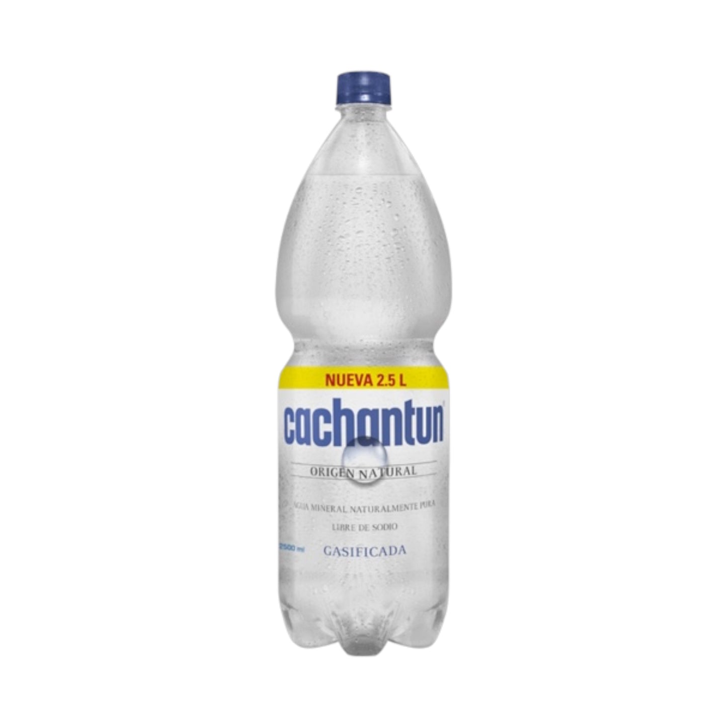 Agua Cachantún 2.5L (Con y Sin Gas)